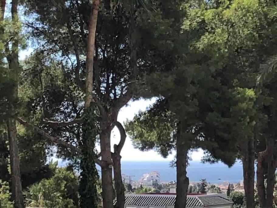 Estudio Torre De Andalucia Marbella Luaran gambar